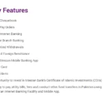 Features-Of-Meezan-Bank-Freelancer-Account