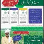 DAP-Subsidy