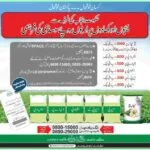 DAP-Subsidy-Registration