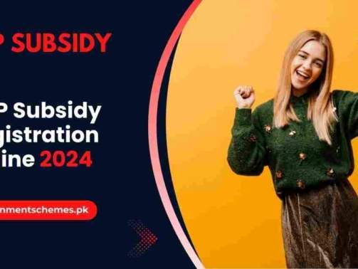 DAP-Subsidy-Registration-Online-2024