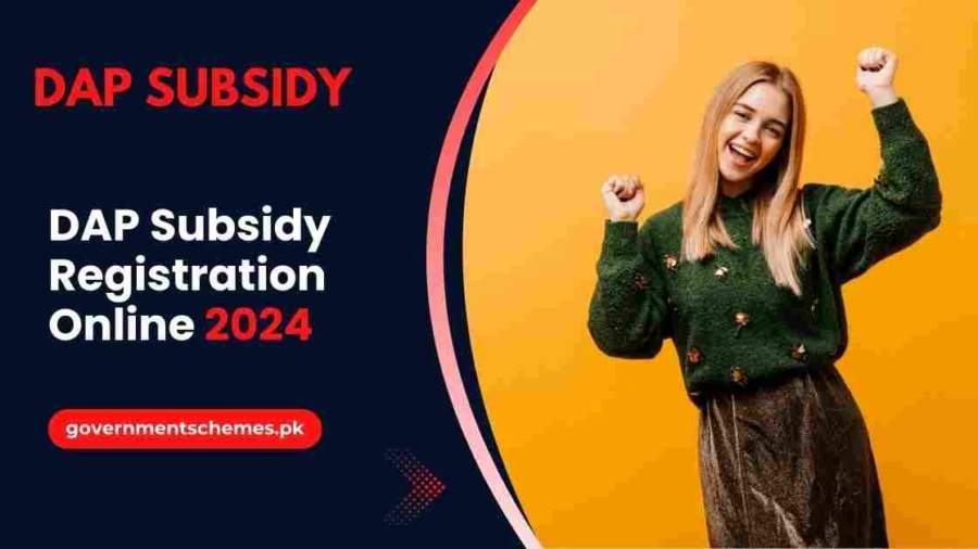 DAP-Subsidy-Registration-Online-2024