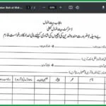 Pakistan-Bait-ul-Mal-Marriage-Loan-Form