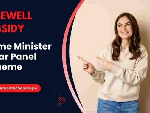 Prime-Minister-Solar-Panel-Scheme