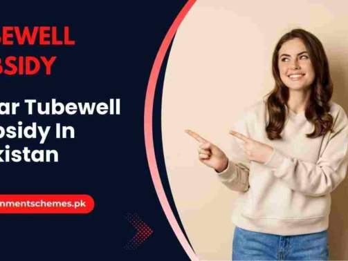 Solar-Tubewell-Subsidy-In-Pakistan