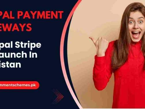 Paypal-Stripe-To-Launch-In-Pakistan