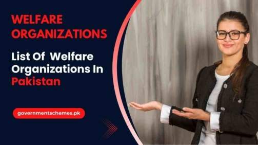 Welfare-Organizations-In-Pakistan