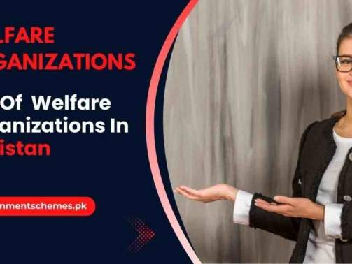 Welfare-Organizations-In-Pakistan