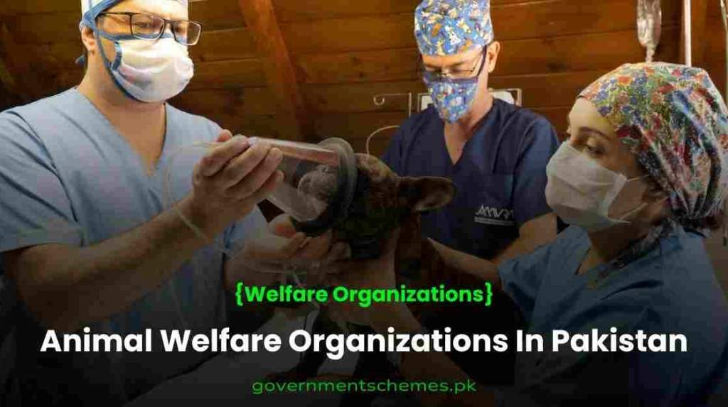 Home » Government Schemes