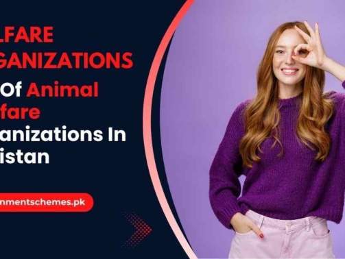 List-Of-Animal-Welfare-Organizations-In-Pakistan
