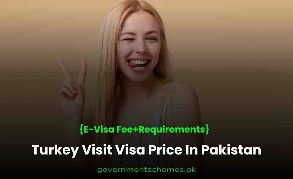 Turkey-Visit-Visa-Price