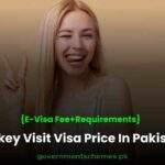 Turkey-Visit-Visa-Price