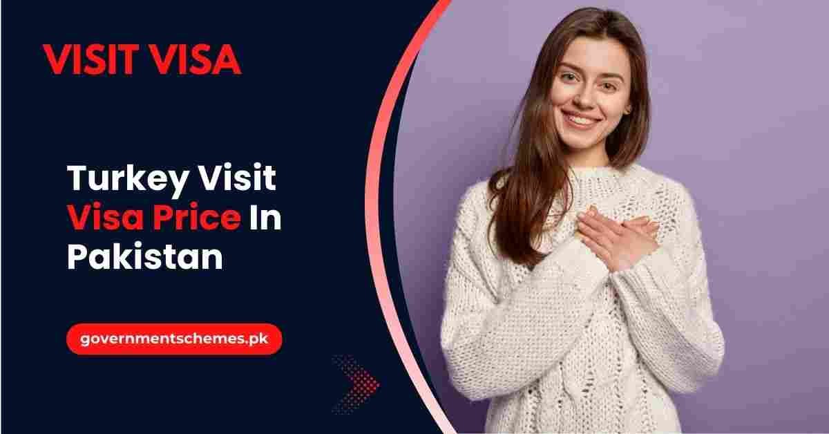 turkey visit visa price pk