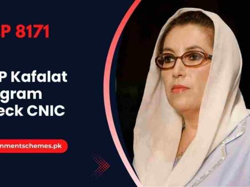 BISP-Kafalat-Program-Check-CNIC