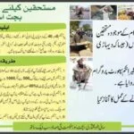 BISP-Saving-Scheme-Registration