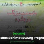 Ehsaas Program Registration 2026 {8171 احساس پروگرام} (اپنے گھرانے کی اہلیت جانئے) 8 Ehsaas Bahimat Buzurg Program