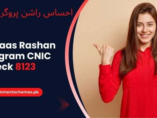 Ehsaas-Rashan-Program-CNIC-Check-8123