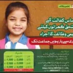 Ehsaas Program Registration 2026 {8171 احساس پروگرام} (اپنے گھرانے کی اہلیت جانئے) 17 Ehsaas-Taleemi-Wazaif-Amount