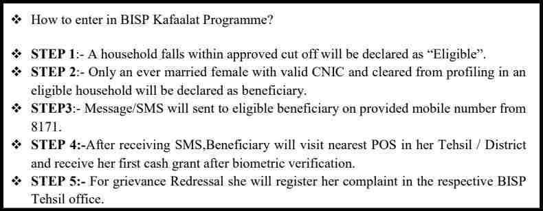 BISP 8171 Result Check 2025 (کفالت پروگرام) | BISP Kafalat Program Check CNIC 2 Online-Registration-Benazir-Income-Support-Programme
