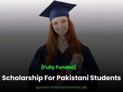 PEEF-Scholarship-For-Pakistani-Students