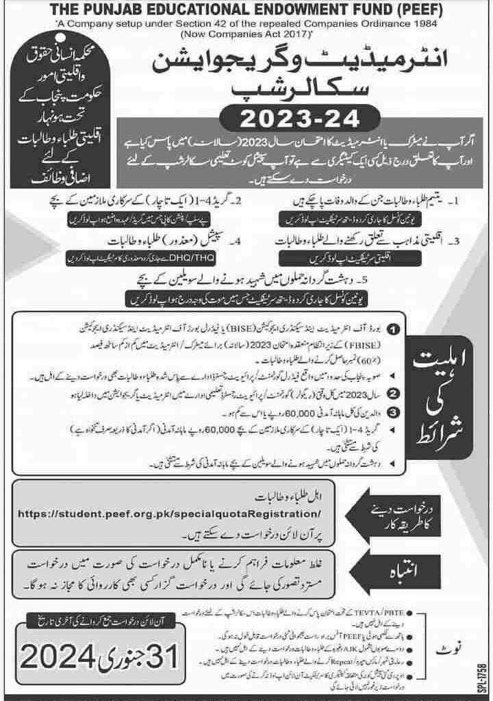 PEEF-Scholarship-For-Pakistani-Students-Advertisement