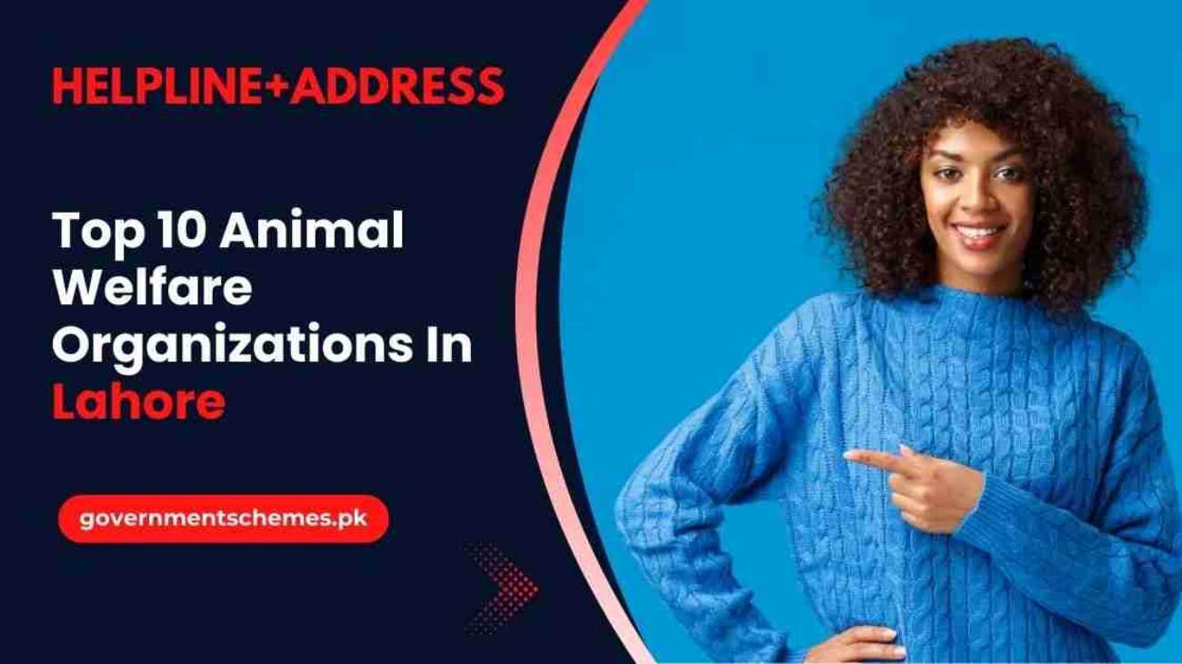 Animal-Welfare-Organizations-In-Lahore
