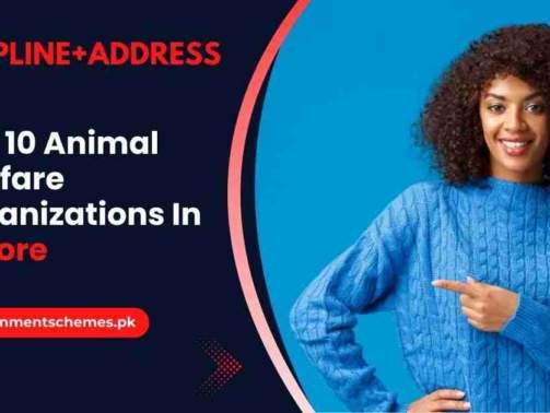 Animal-Welfare-Organizations-In-Lahore