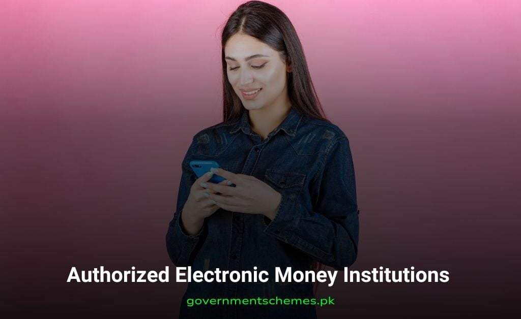 Authorized-Electronic-Money-Institutions