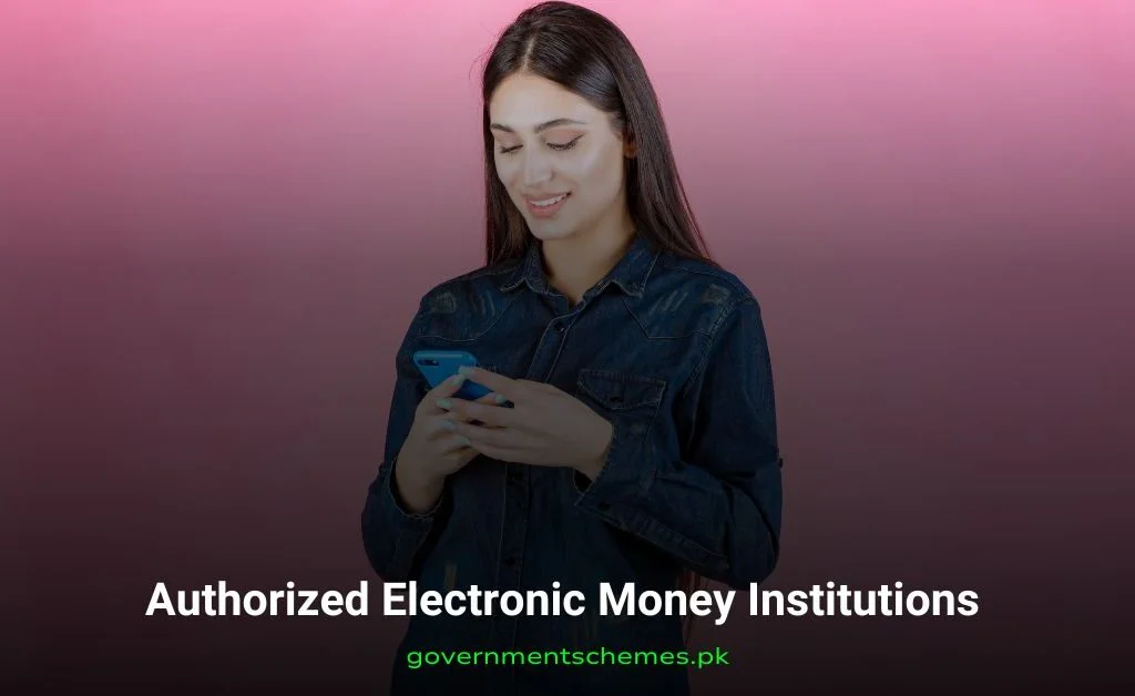 Authorized-Electronic-Money-Institutions Authorized-Electronic-Money-Institutions