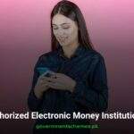 Authorized-Electronic-Money-Institutions