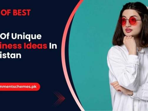 List-Of-Unique-Business-Ideas-In-Pakistan