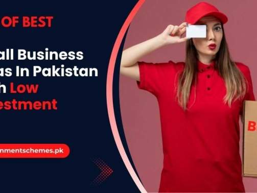 Small-Business-Ideas-In-Pakistan-Low-Investment
