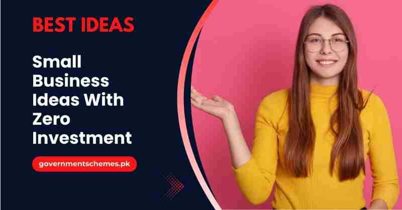 Small-Business-Ideas-With-Zero-Investment