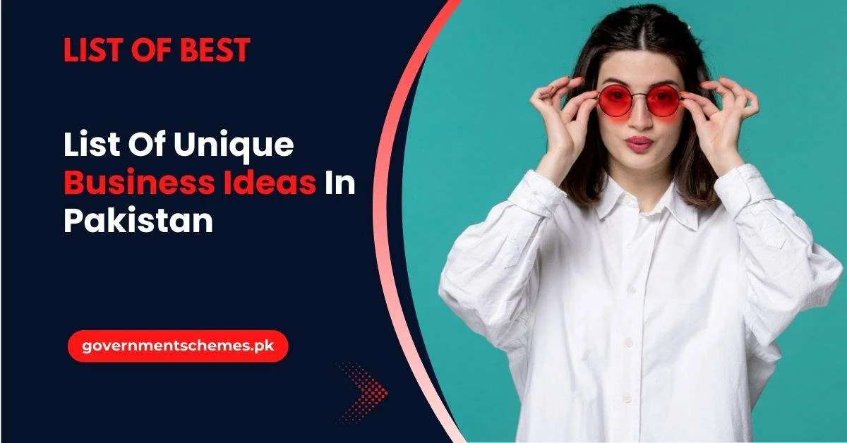 Some-Unique-Business-Ideas-In-Pakistan