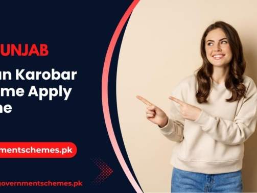 CM-Punjab-Asaan-Karobar-Scheme-Apply-Online