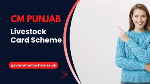 CM-Punjab-Livestock-Card-Scheme