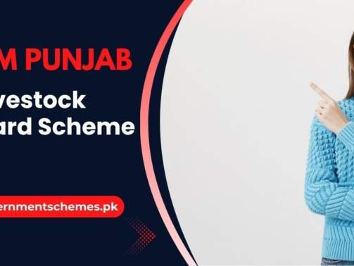 CM-Punjab-Livestock-Card-Scheme