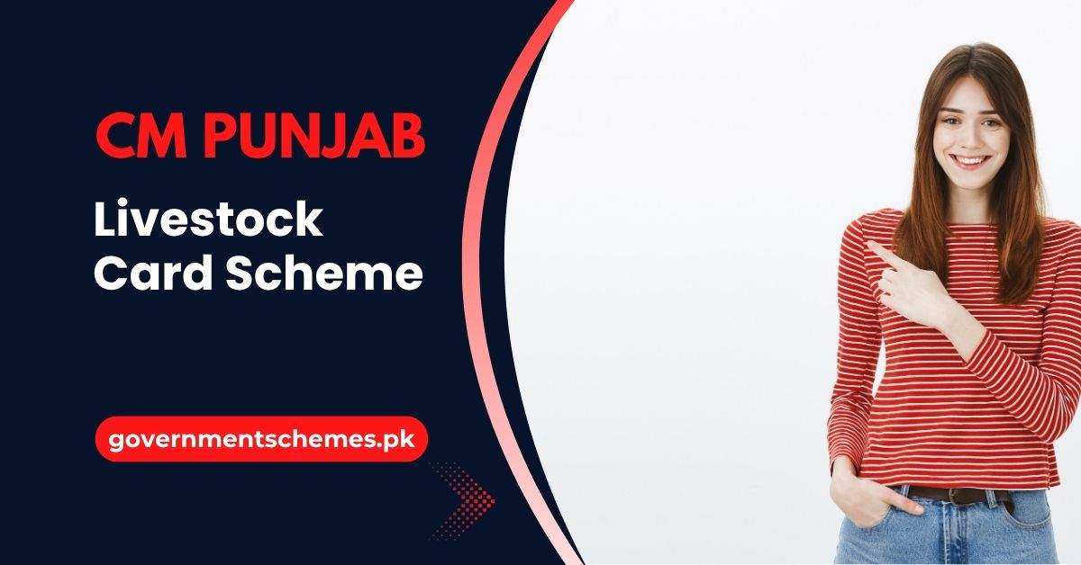 Free-CM-Punjab-Livestock-Card-Scheme