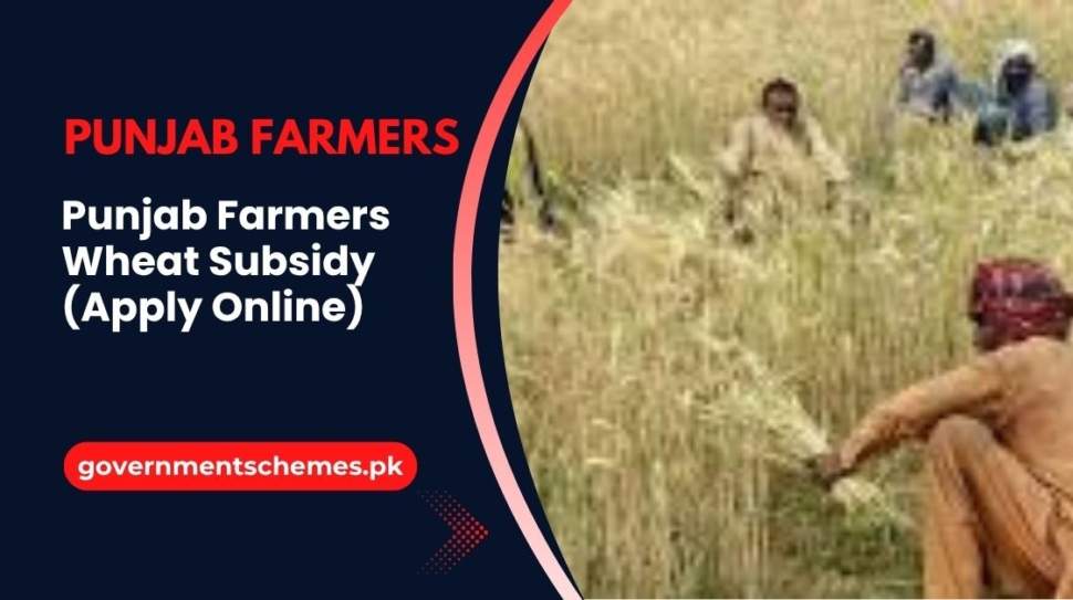 Punjab-Farmers-Wheat-Subsidy-(Apply-Online)