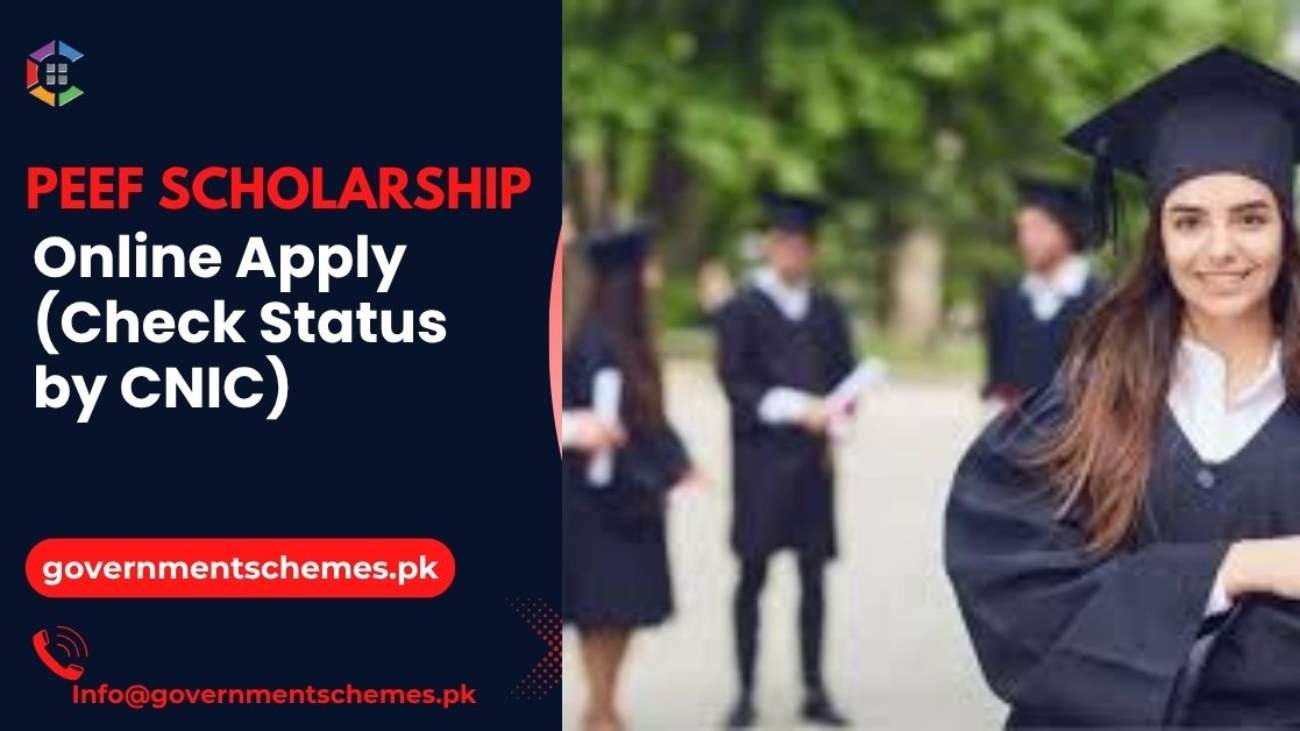 PEEF-Scholarship-Online-Apply-(Check-Status-by-CNIC)