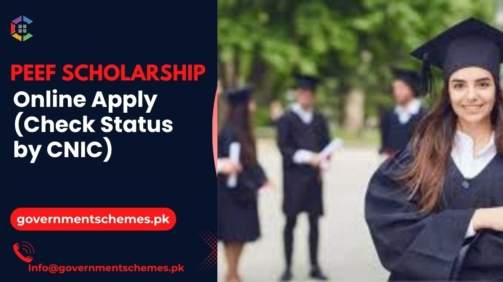 PEEF-Scholarship-Online-Apply-(Check-Status-by-CNIC)