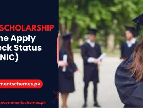 PEEF-Scholarship-Online-Apply-(Check-Status-by-CNIC)