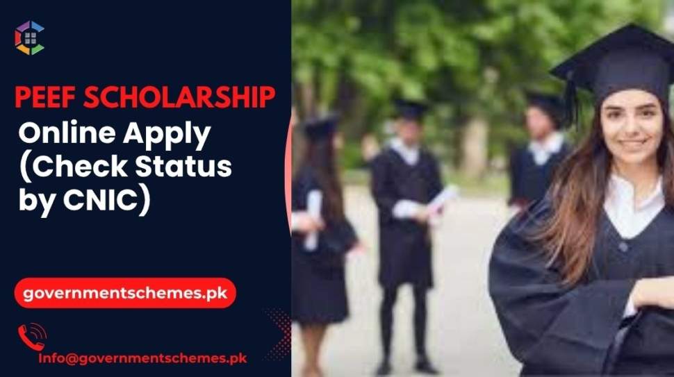 PEEF-Scholarship-Online-Apply-(Check-Status-by-CNIC)