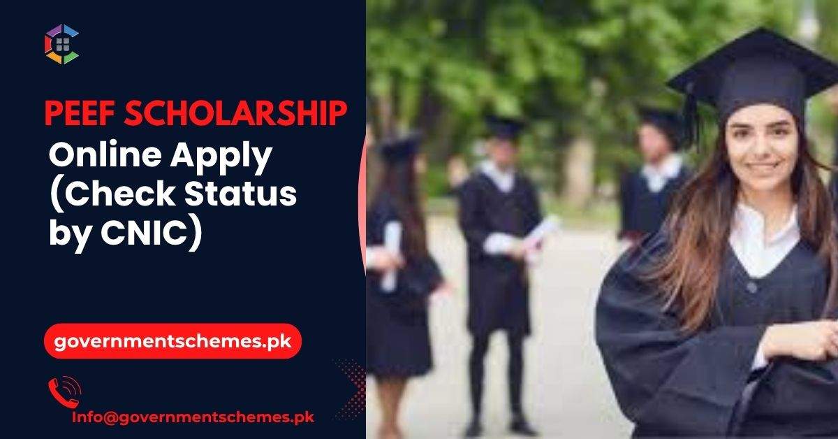 PEEF-Scholarship-Online-Apply-(Check-Status-by-CNIC)