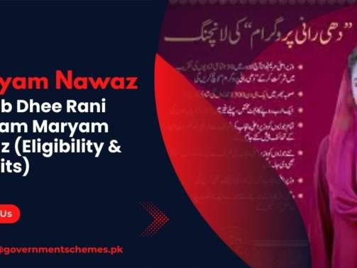 Punjab-Dhee-Rani-Program-Maryam-Nawaz-(Eligibility-&-Benefits)