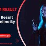 BISP-8171-Result-Check-Online-By-CNIC