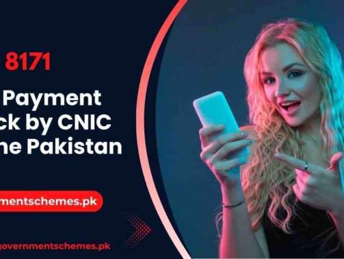 BISP-Payment-Check-by-CNIC-Online-Pakistan