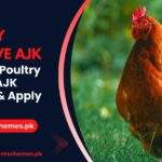 Backyard-Poultry-Initiative-AJK-(Register-&-Apply-Online)