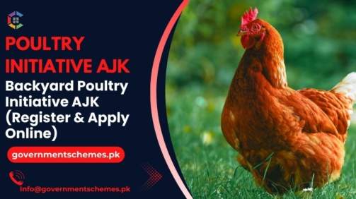 Backyard-Poultry-Initiative-AJK-(Register-&-Apply-Online)
