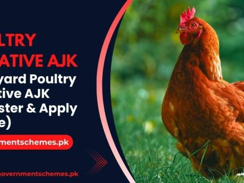 Backyard-Poultry-Initiative-AJK-(Register-&-Apply-Online)