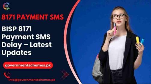 BISP-8171-Payment-SMS-Delay